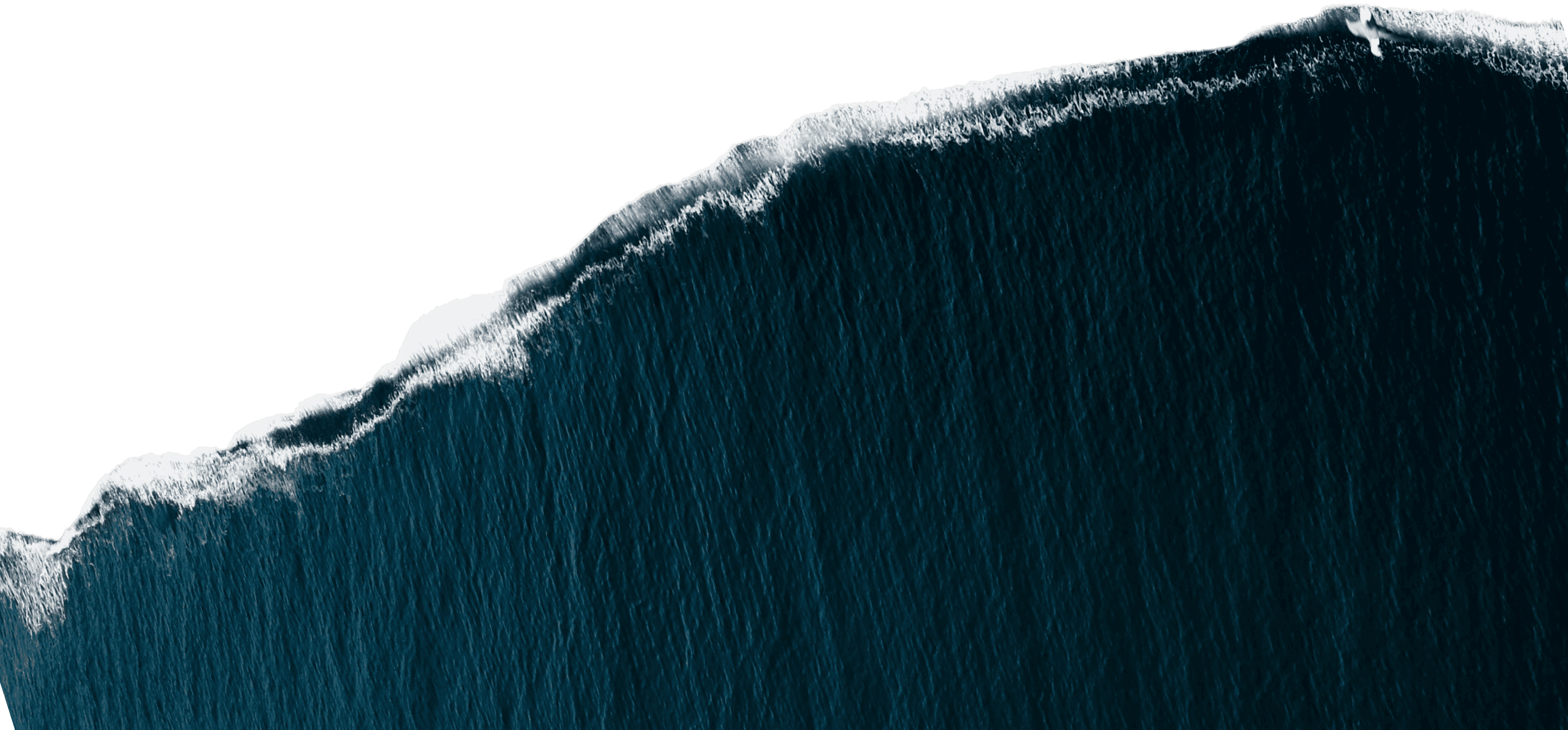 Imagen de una ola al final de seccion de inicio